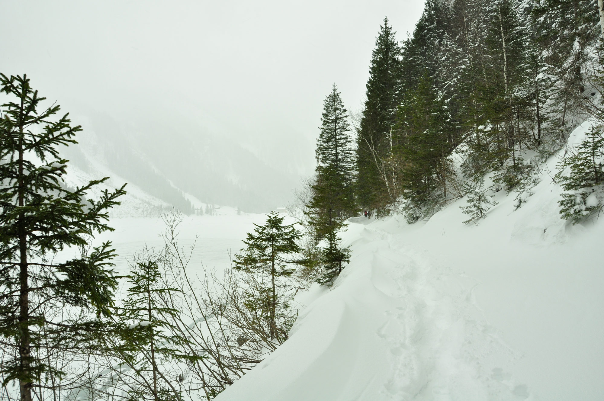 Gosau